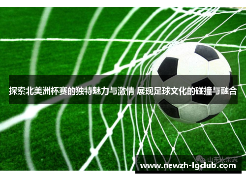 探索北美洲杯赛的独特魅力与激情 展现足球文化的碰撞与融合