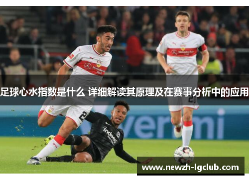 足球心水指数是什么 详细解读其原理及在赛事分析中的应用 足球心水指数是什么 详细解读其原理及在赛事分析中的应用