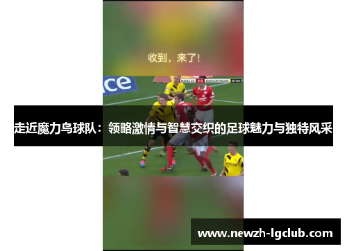 走近魔力鸟球队：领略激情与智慧交织的足球魅力与独特风采